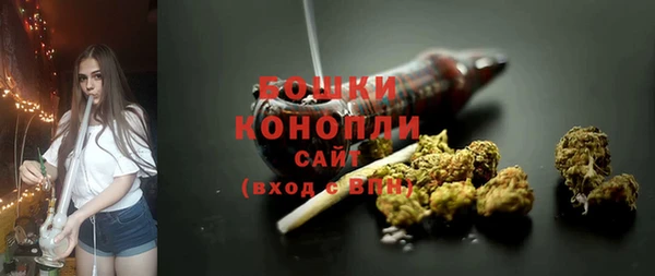 шишки Богданович